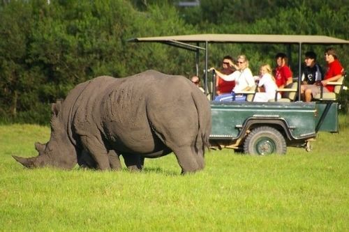 Kragga Kamma Game Park Hotel Port Elizabeth Exterior foto