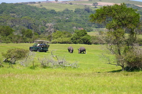 Kragga Kamma Game Park Hotel Port Elizabeth Exterior foto
