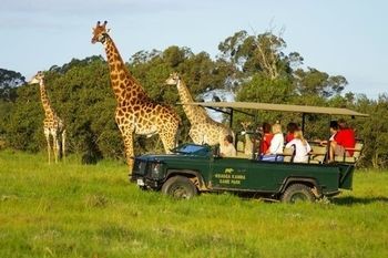 Kragga Kamma Game Park Hotel Port Elizabeth Exterior foto